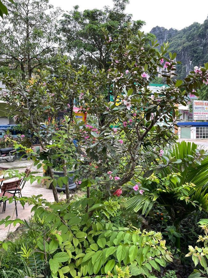 Phong Nha Green Homestay מראה חיצוני תמונה